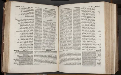 Complutensian Polyglot Bible, printed by Arnao Guillen de Brocar