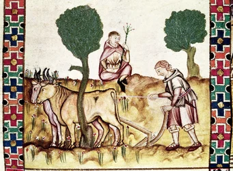 A farmer teaching his son to plough a field