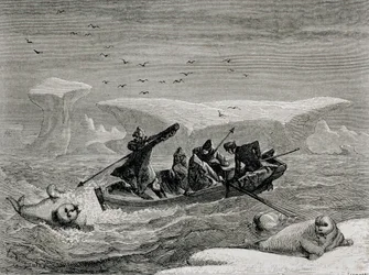 Hunting Walrus with Harpoons in the Spitsbergen Islands, Svalbard archipelago, illustration from 