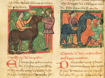 Curing Glossitis in a Horse, from Libro de Menescalcia y Albeyteria by Juan Alvarez