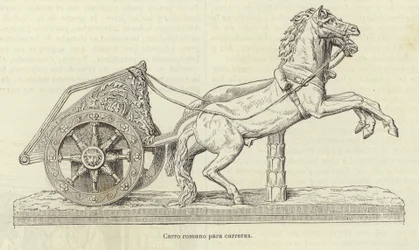 Roman Chariot Race