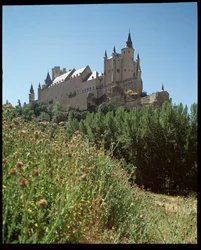 View of the Alcazar