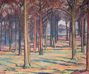 Wood in Richmond Park, 1914