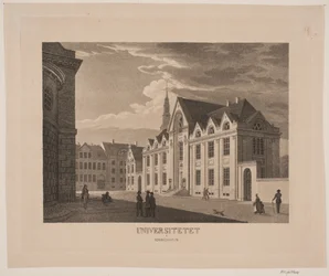 The University