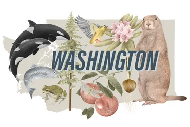 Washington State Symbols