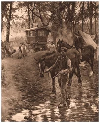 Nomads, 1903