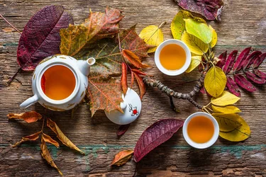 Cozy Autumn Tea