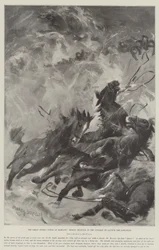 The Great Storm, Scene at Margate, Horses drowned in the Attempt to launch the Life-Boat