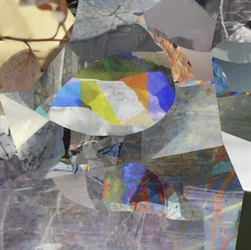 Abstract Fish Collage