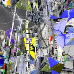 Fragmented Birch Forest