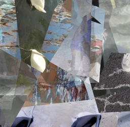 Fragmented Water Swans