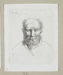 Head of Old Man
