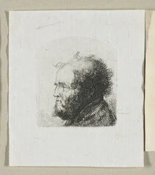 Head of a Bearded Man in Profile Facing Left