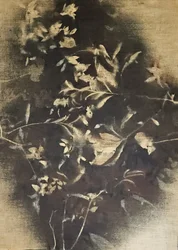 Moody Floral Shadows