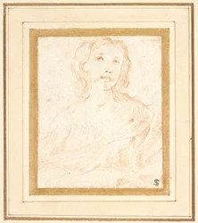 A Young Woman, Half Length