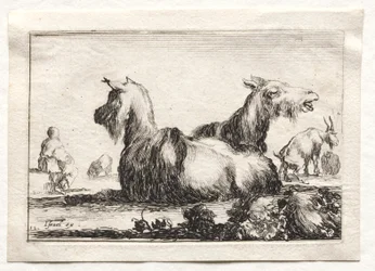 Caprices: Two Goats