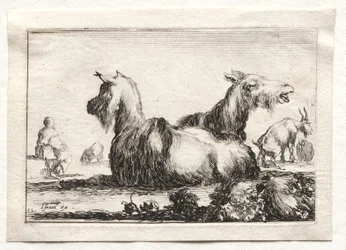 Caprices: Two Goats