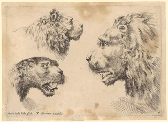Three Lion Heads