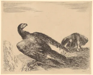 Eagle Spreading Wings and Eating, Plate 4 from the Series 