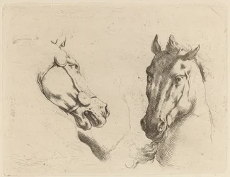Head of a Horse Seen in Profile and in Three-Quarters