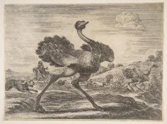 Ostrich Hunt, from Animal Hunts