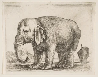 Plate 10: elephant, from Various animals Diversi animali, ca. 1641