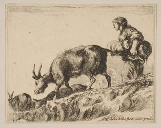 Plate 14: Shepherdess Herding Goats