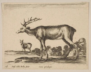 Plate 16: stag, from Various Animals, ca. 1641