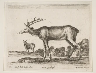 Stag (from Various Animals Diversi Animali)