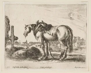 Plate 22: cart horse, from Various animals Diversi animali