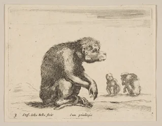 Plate 3: Seated Monkey, from Various Animals