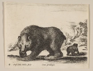 Plate 4: Bear, from 
