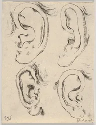 Plate 5: four ears, from The Book for Learning to Draw Livre pour apprendre à dessi, ca. 1649