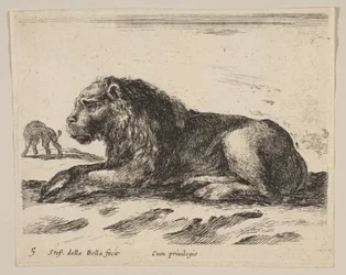 Reclining Lion, from Various Animals