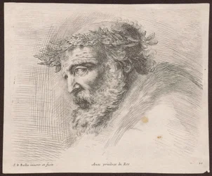Study of the Head of a Bearded Old Man in a Laurel Wreath, in Profile, Turned Left, from the Series Principii del disegno