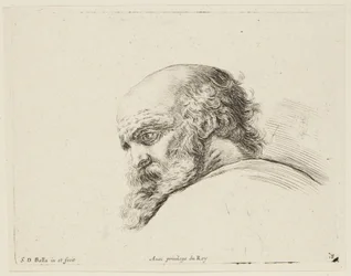 Study (I principii del disegno, 18)