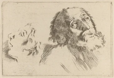 Study of Heads