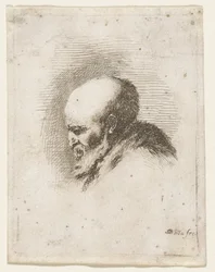 Head of a Bald and Bearded Old Man