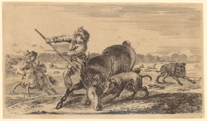 Wounded Deer Collapsing