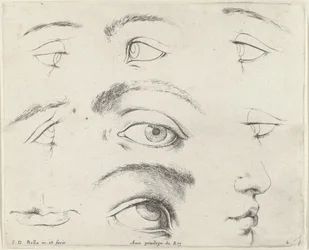 Seven Eyes, Two Mouths, and a Nose (The Principles of Drawing)