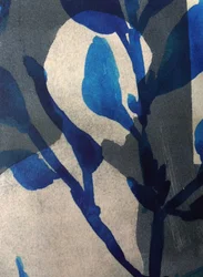 Argelouse II, 2016