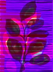 Botanical Stripe I