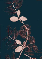 Freyr VII Dark Copper