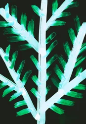 Winter II, 2017