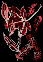 Night Flora I
