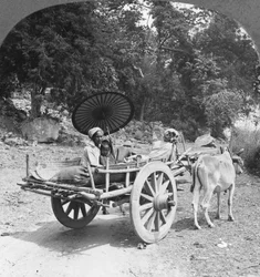 Family journeying through the jungle near Mingun, Burma, 1908