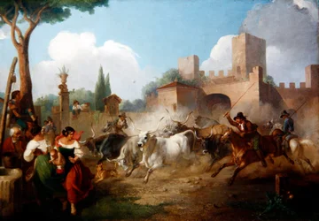 Buttari driving Roman Oxen