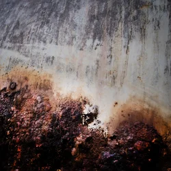 Deep Rust Decay