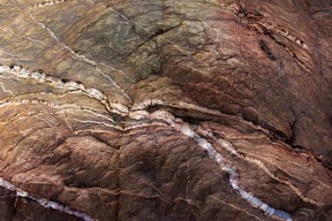 Earthy Veined Rock