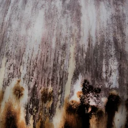 Weathered Organic Streaks